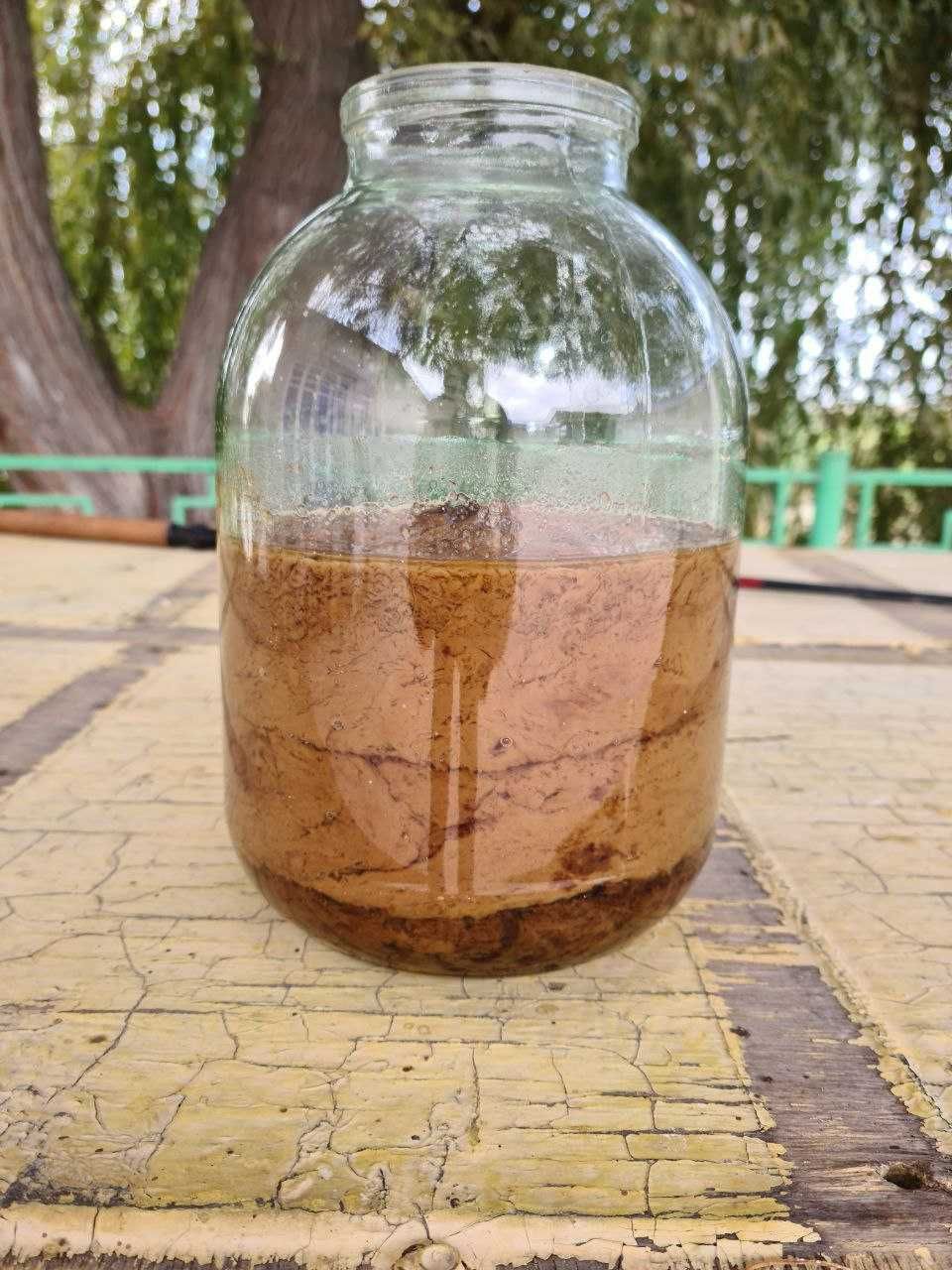 Sofia подсолнечное масло