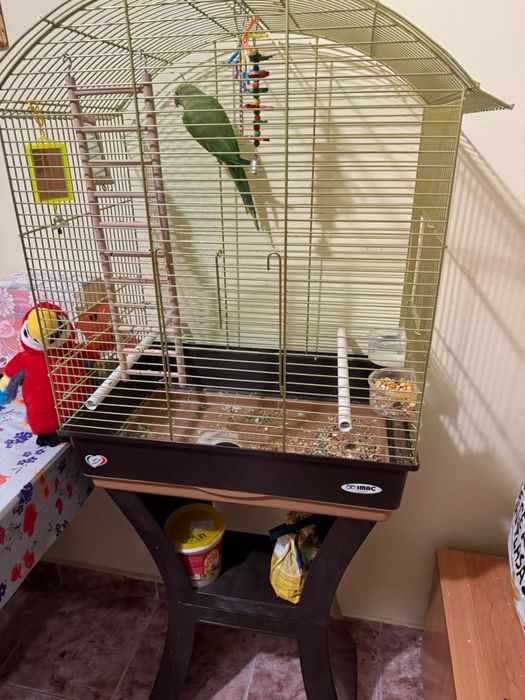 Micul Alexandru + Colivie