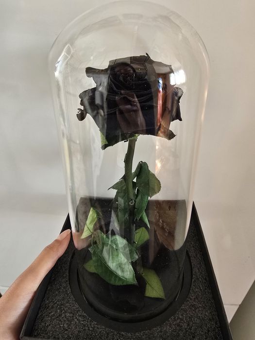 Вечна черна роза