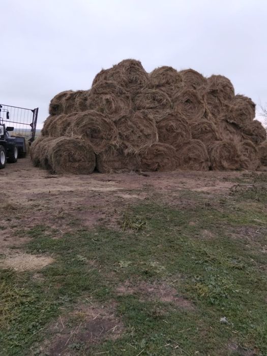 Продам сено рулонное