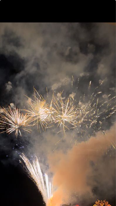 Artificii nunta, botez, diverse ocazii