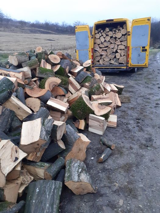 Aduc lemne pentru foc