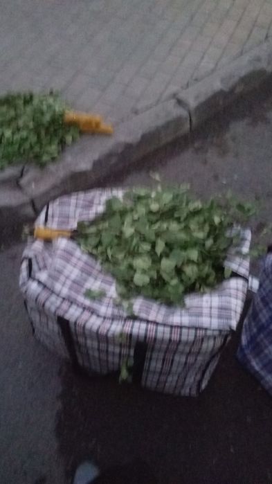 Веники березовые 500