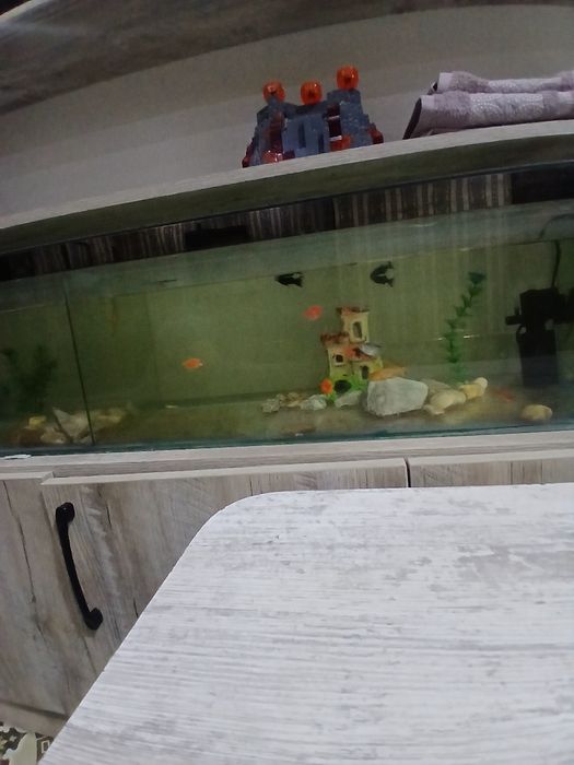 Аквариум ва баликлари билан  сотилади