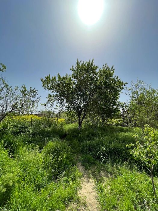 Дача/Ферма/Дом продажа