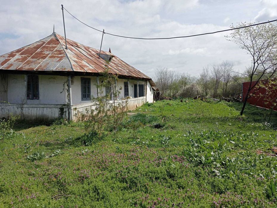 Teren cu utilitati si casa DN1 Ciolpani URGENT
