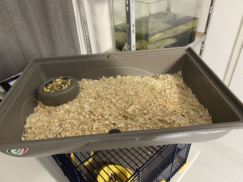 Cusca de hamsteri cu tot cu hamsteri