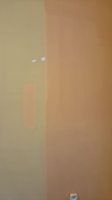 Persoana fizica vând, vopsea lavabila/ găleată 10 L și  Stucco Decor