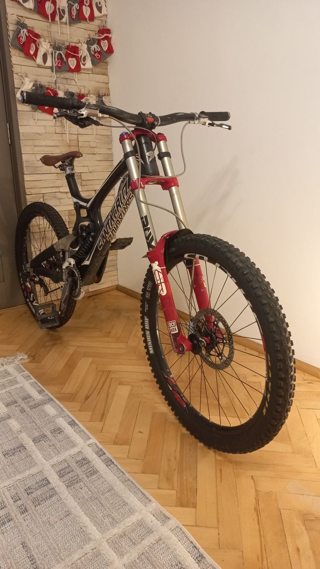 Santa Cruz V10 C