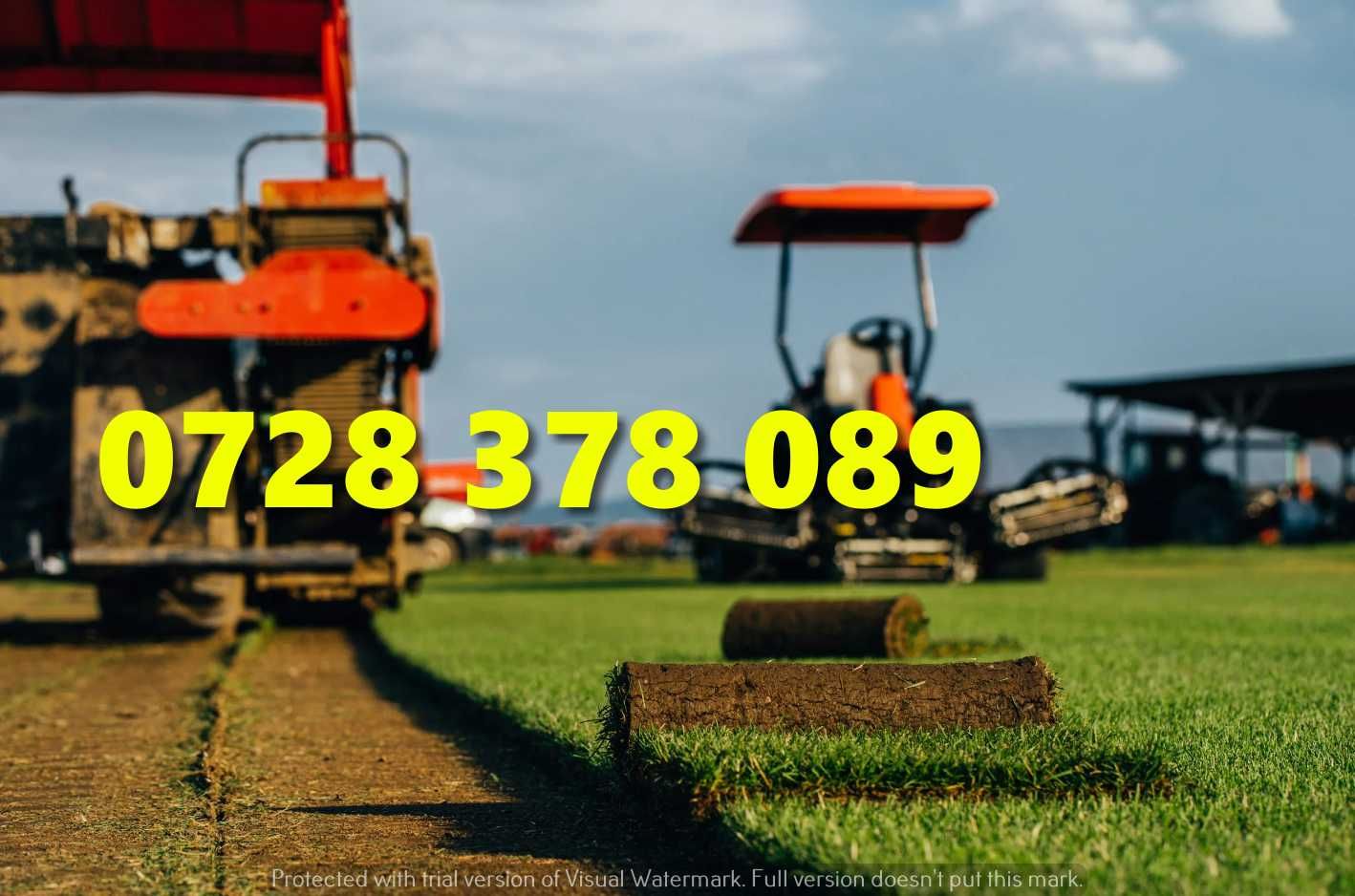 Gazon rulou - Gradina Verde vesnica Garantat ! Firma autorizata