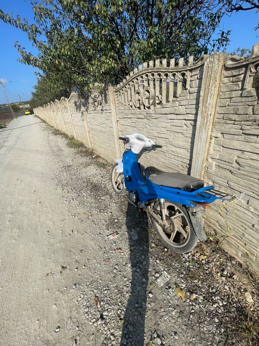 Scuter longhin schimb mai multe detalii în privat