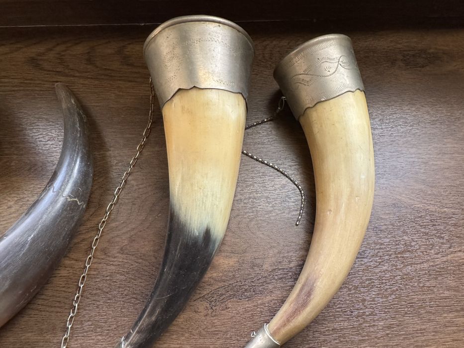 Продаю рога, декор, фужер для вина, коллекционные