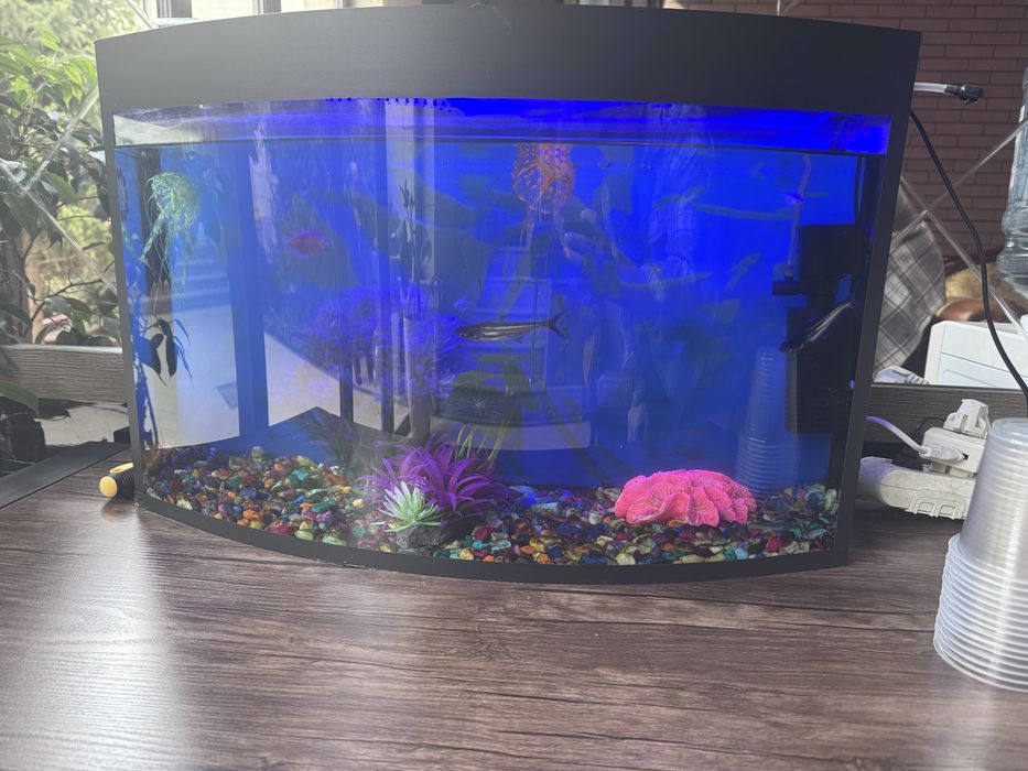 Akvarium srochno sotiladi 45-50 litr