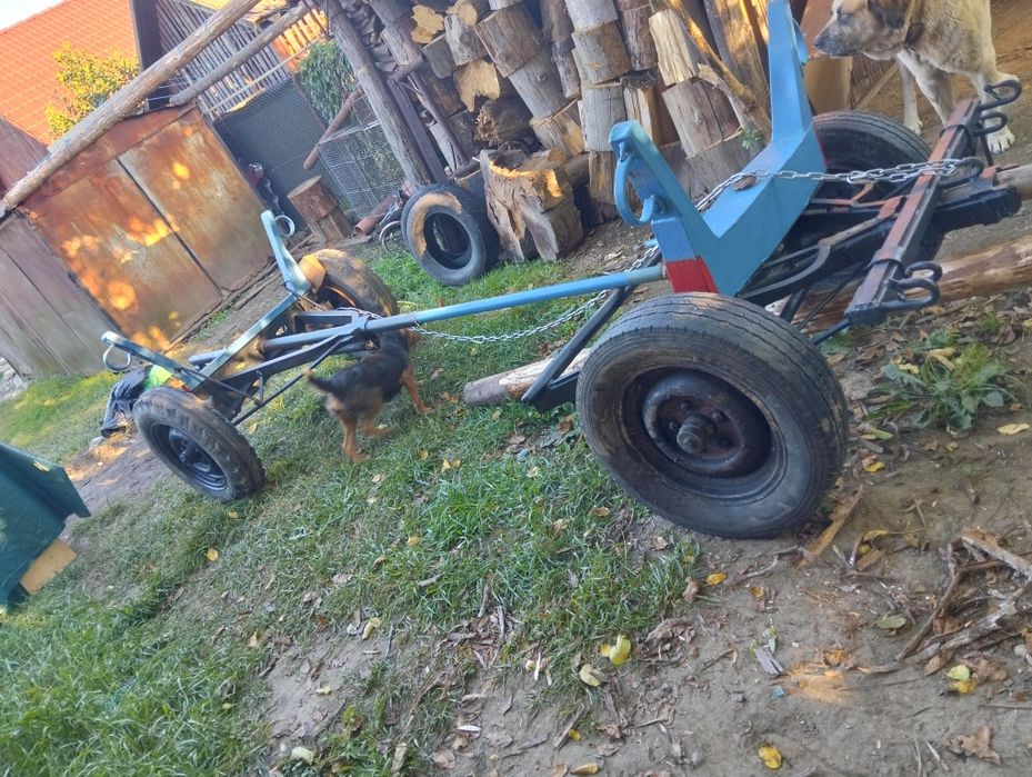 Ștraif bun de calitate