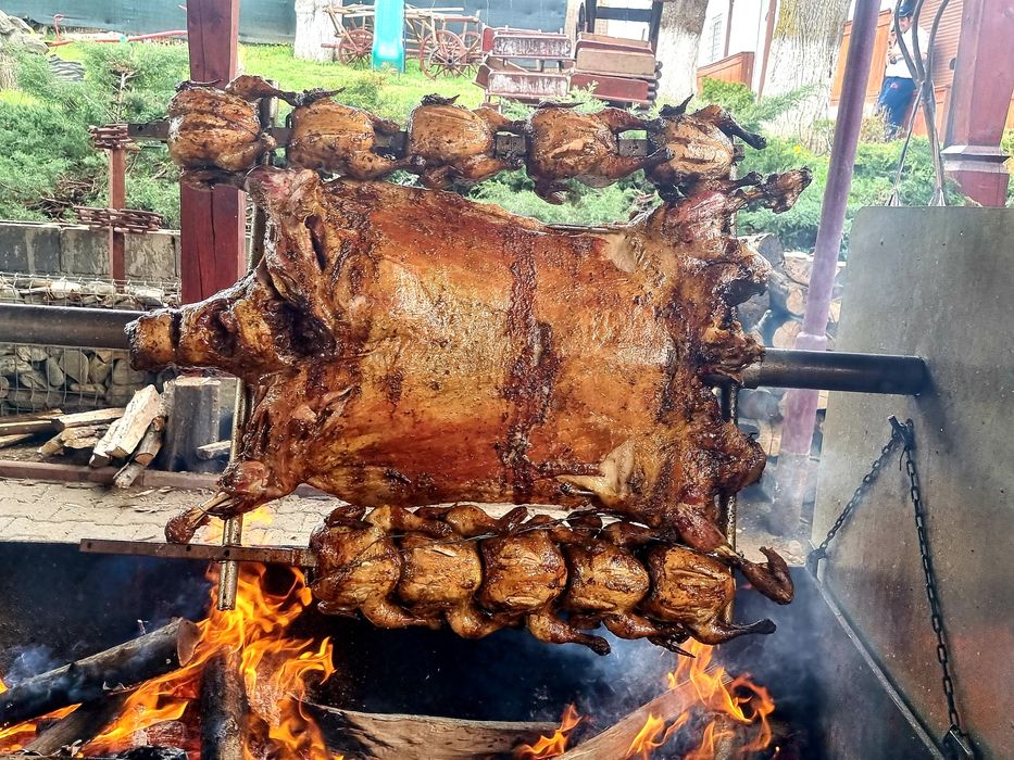 Protap rotisor evenimente