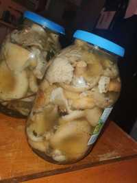 Срочно продам грибы солёные маринованные Грузди и подберёзовики