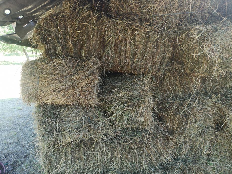 Vând baloti fan dreptunghiulari 2025