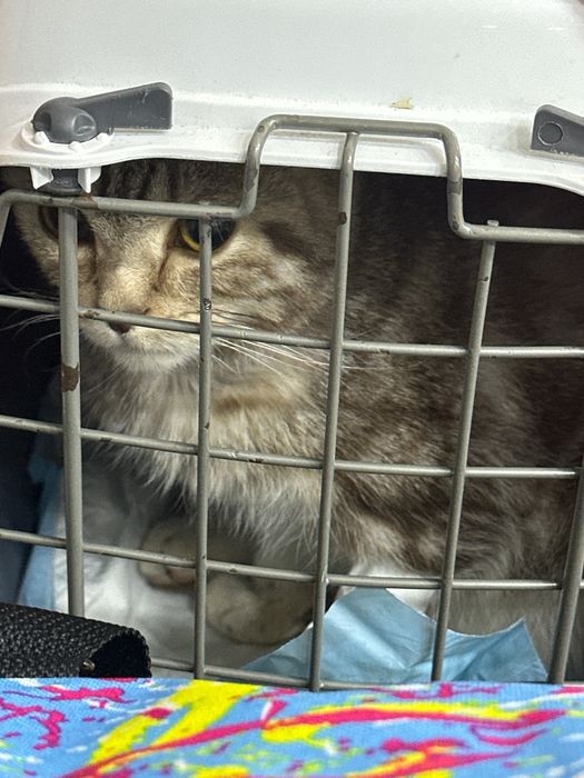 Требуется донор крови