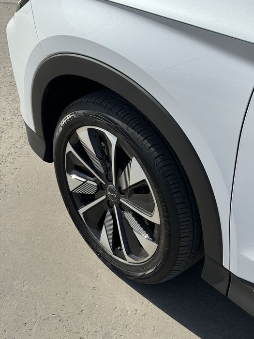 Byd Chempion Restailing 2024/25