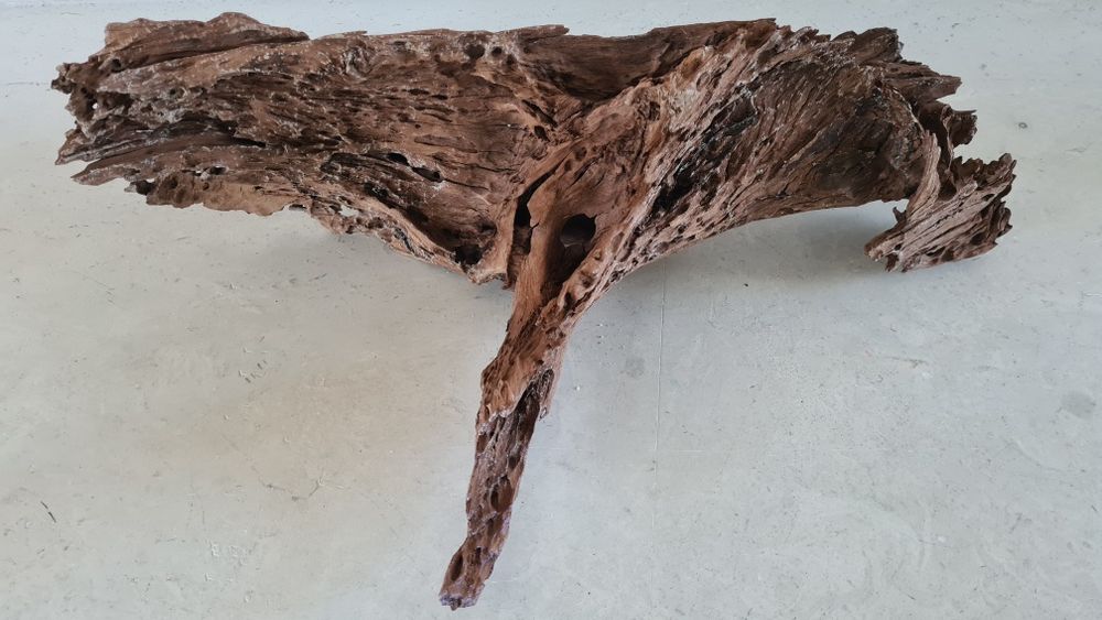 Buturuga / lemn mangrove pentru acvarii