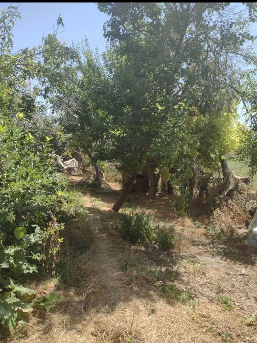 Срочно Продаётся участок 6 соток