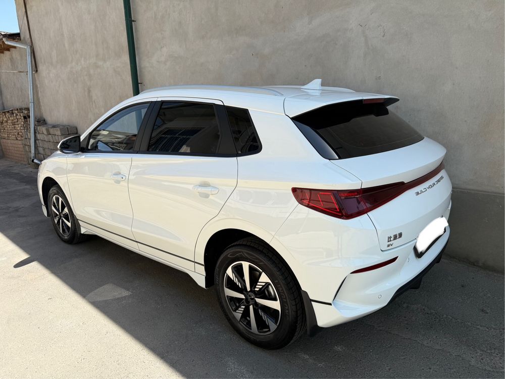 Byd e2 luxury 405