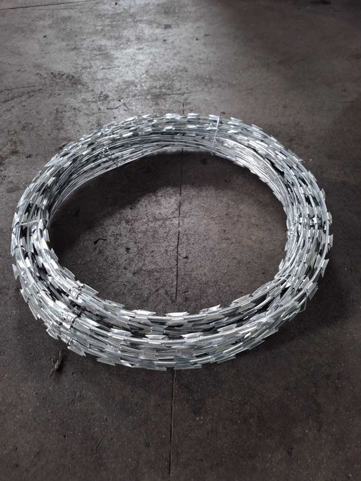 Sarma ghimpata Concertina/Nato