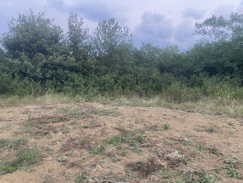 Teren watman 1500 m2