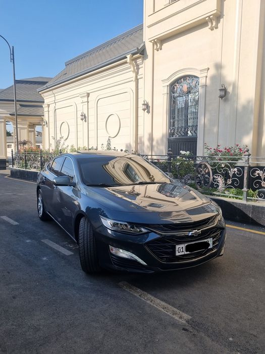 Malibu primer 2021