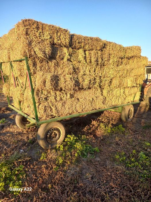 Baloți de iarbă  de vânzare