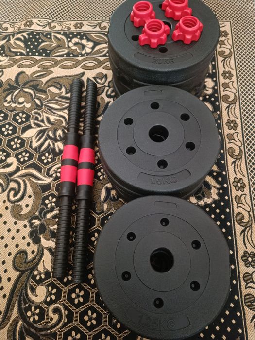 Gantel 24 kg 12x2