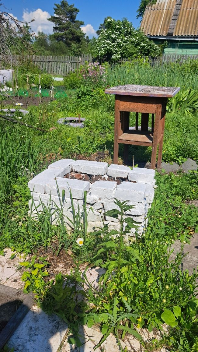 Продам ухоженную дачу в дачном обществе,,Борки,,