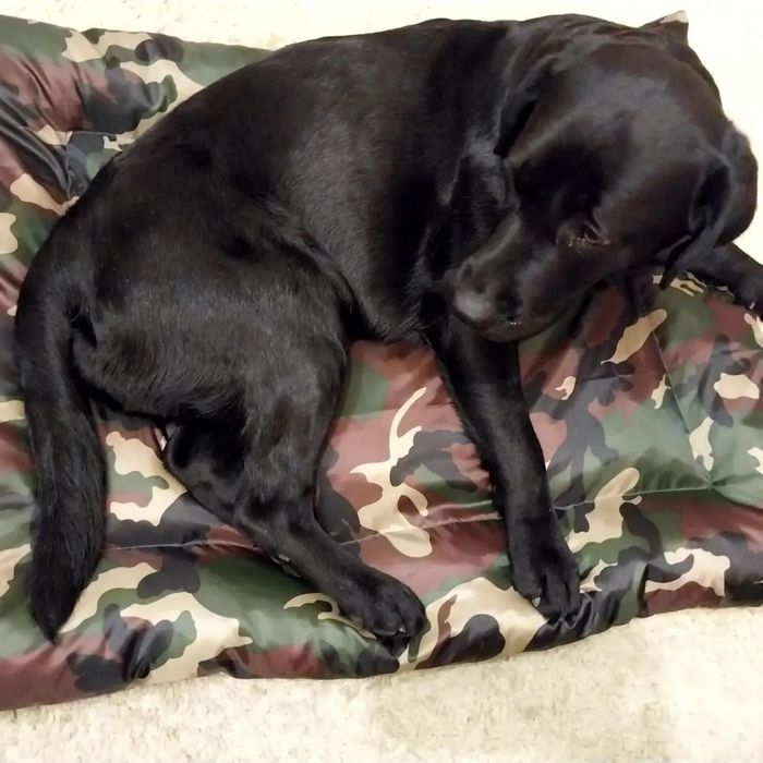 Лежанки для средних и крупных пород собак,  а так же кошек