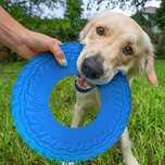 jucarie frisbee flyer cauciuc caini catei