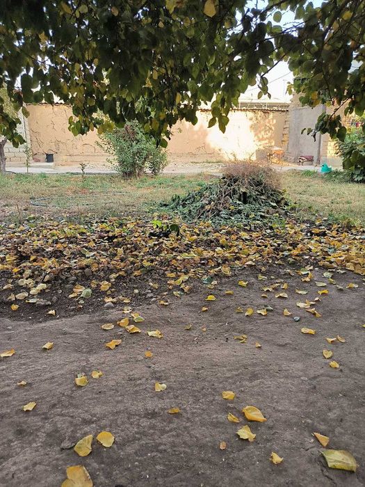 Sotiladi 2.36 sotix (236 m2) xovli Burata, Qibray, Kibray. 1 liniya.