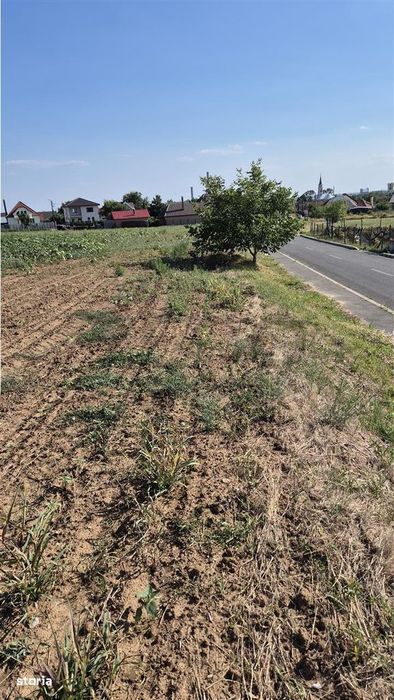 Reco Teren Extravilan Episcopia aproape de Remarkt