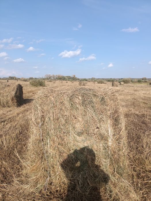 Продам сено солома объем от 100 по 6000