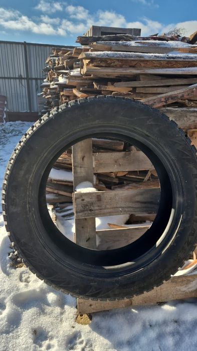 Зимние шины с шипами