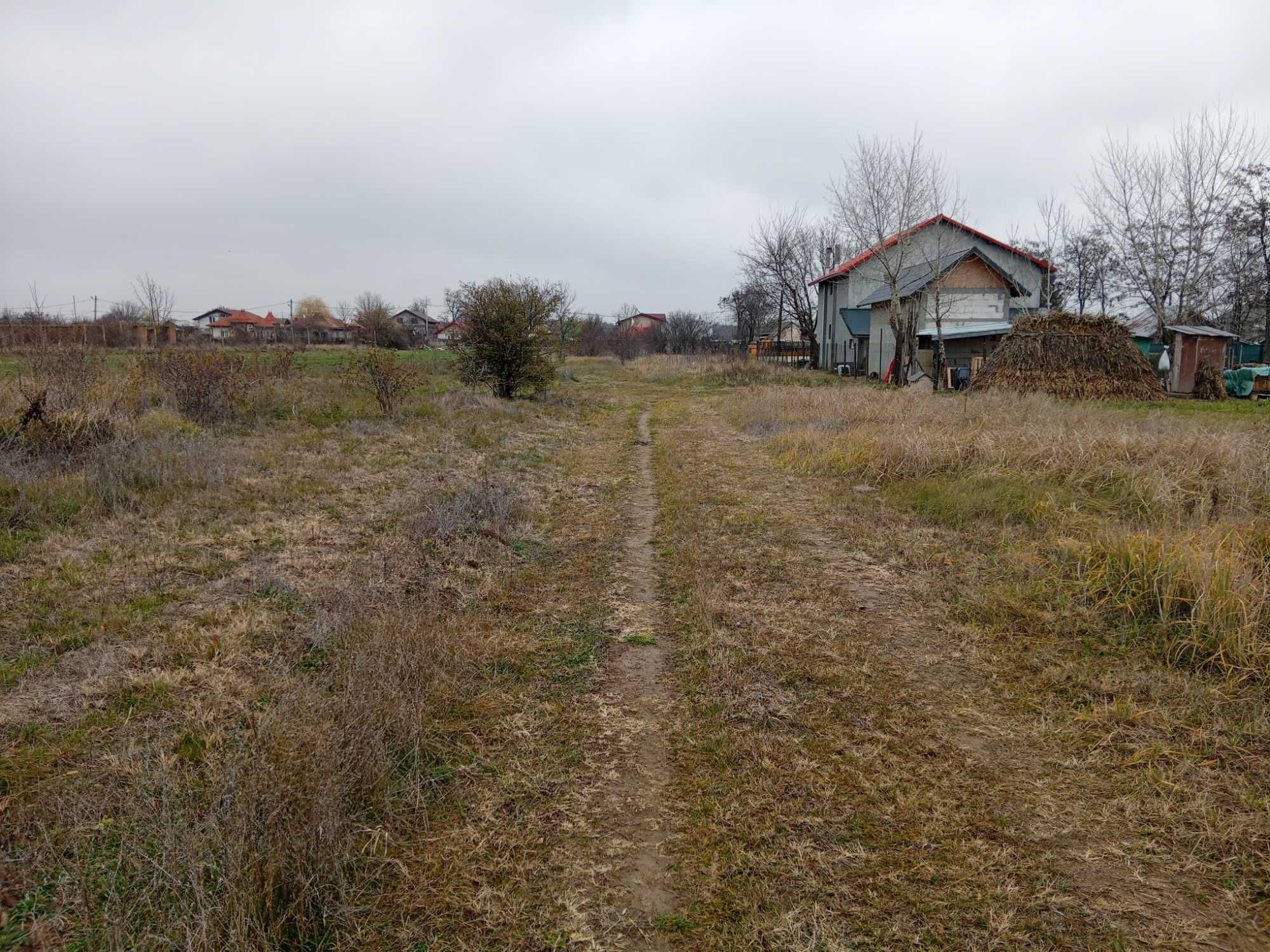 Teren de vanzare in Vanatorii mici jud Giurgiu