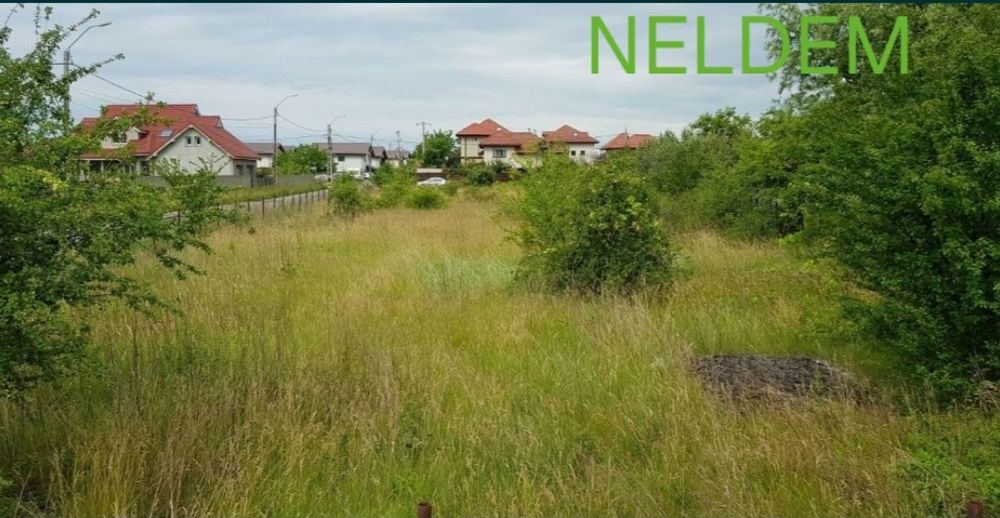 Tuns Iarbă/Defrișări/Toaletare Arbori 24/7.