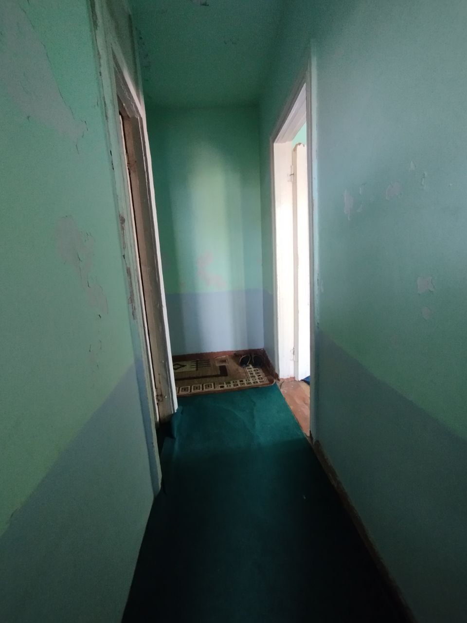 Уй ижорага берилади