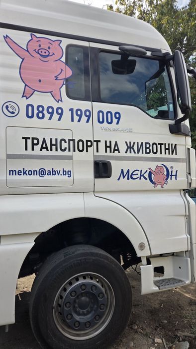 Транспорт и Изкупуване на животни