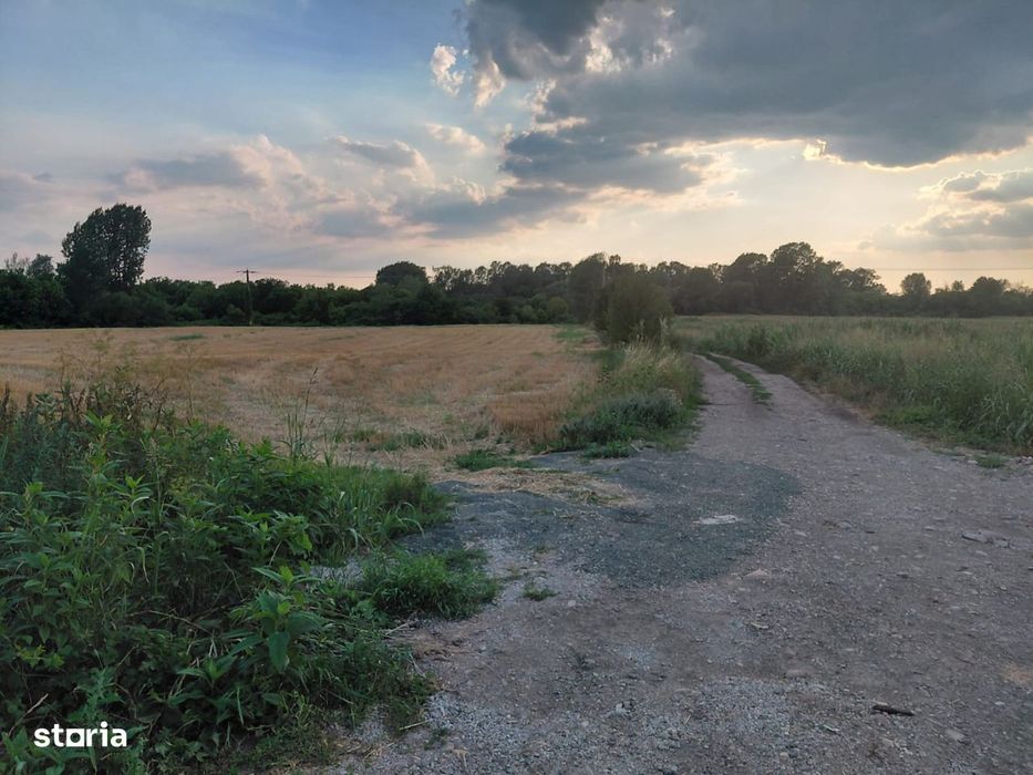 Teren de vanzare in Sebis