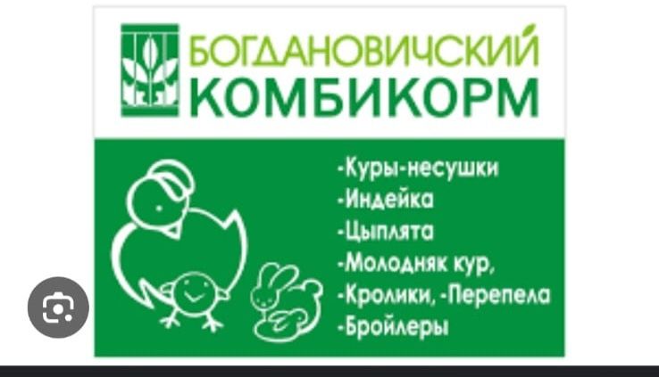 Комбикорм для вашей птицы