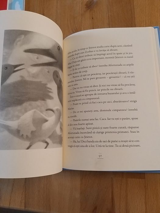,,Povestea unei pescărușe și a motanului care a învățat-o să zboare"