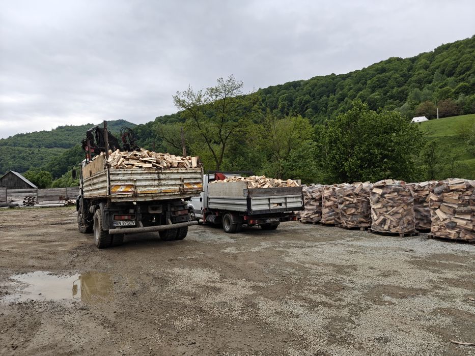 Lemne de foc taiate si despicate FAG