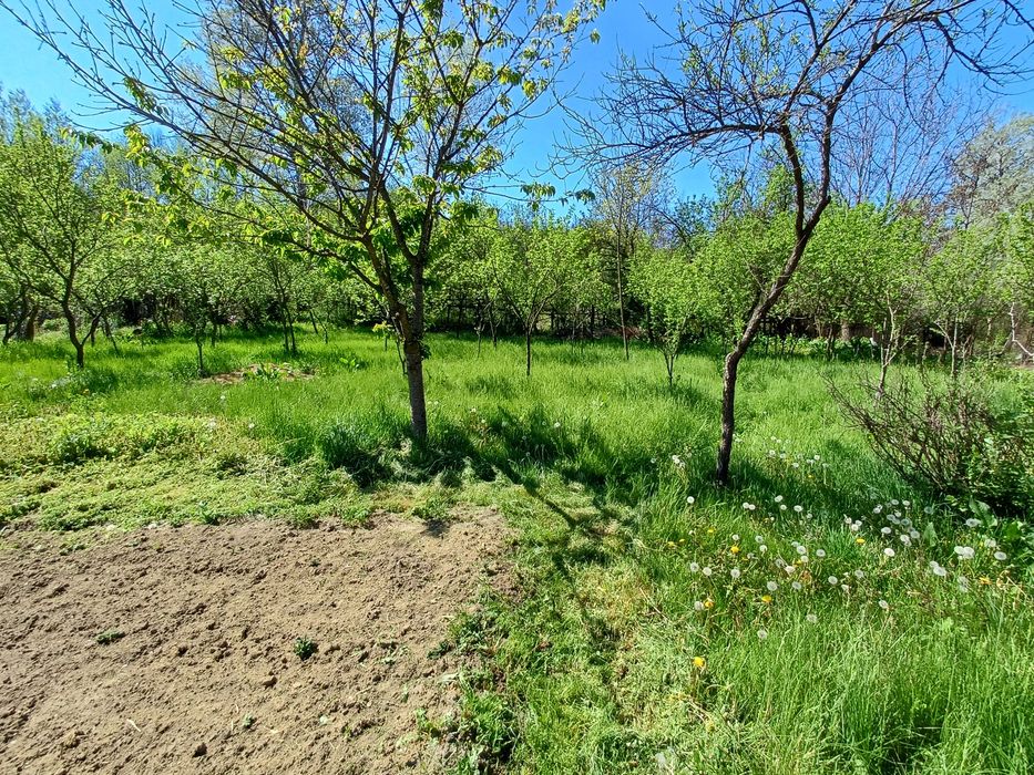 De vânzare casă si teren Pănătău