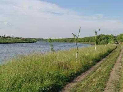 PROPRIETAR - 17.000 mp langa padure si lac - URGENT