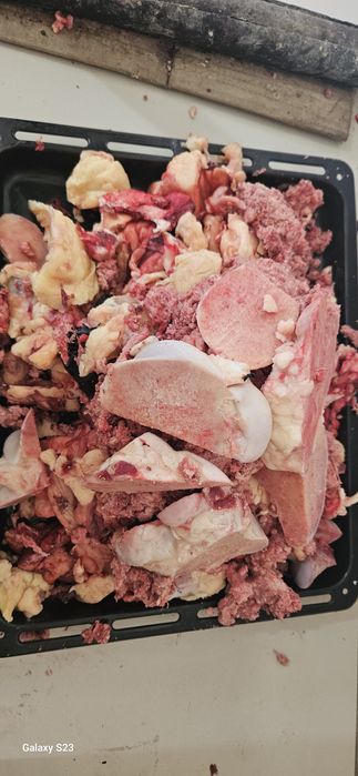 Мясные отходы для собак