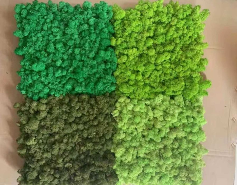 Пана и картини от скандинавски мъх , скандинавски мъх